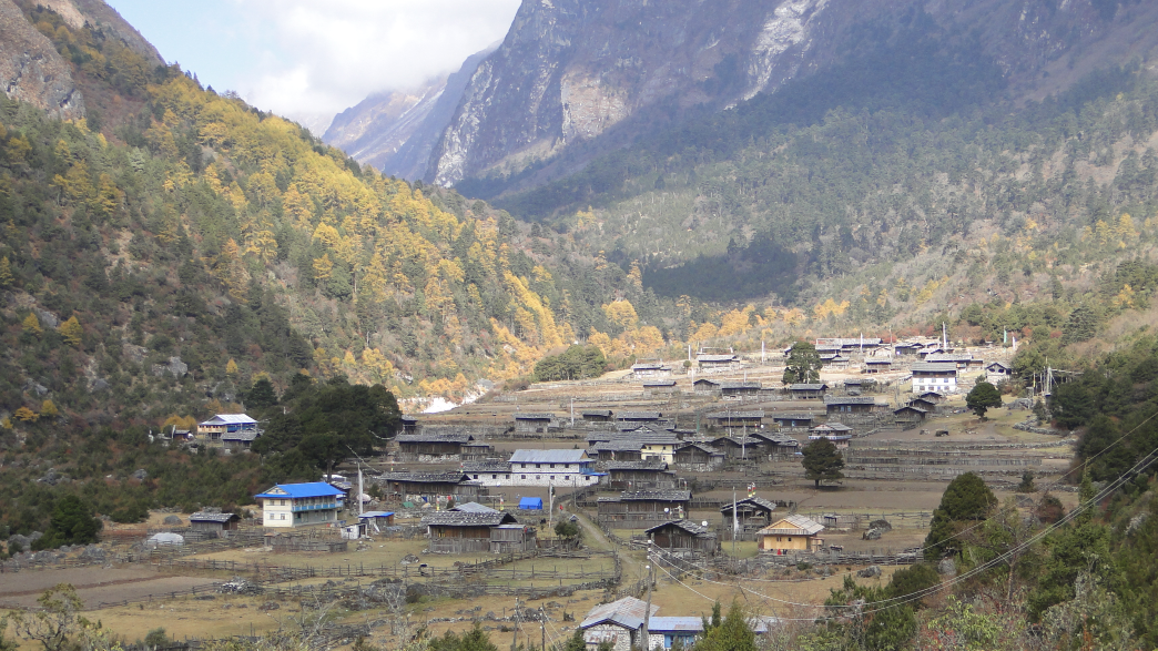 Private Sector Development