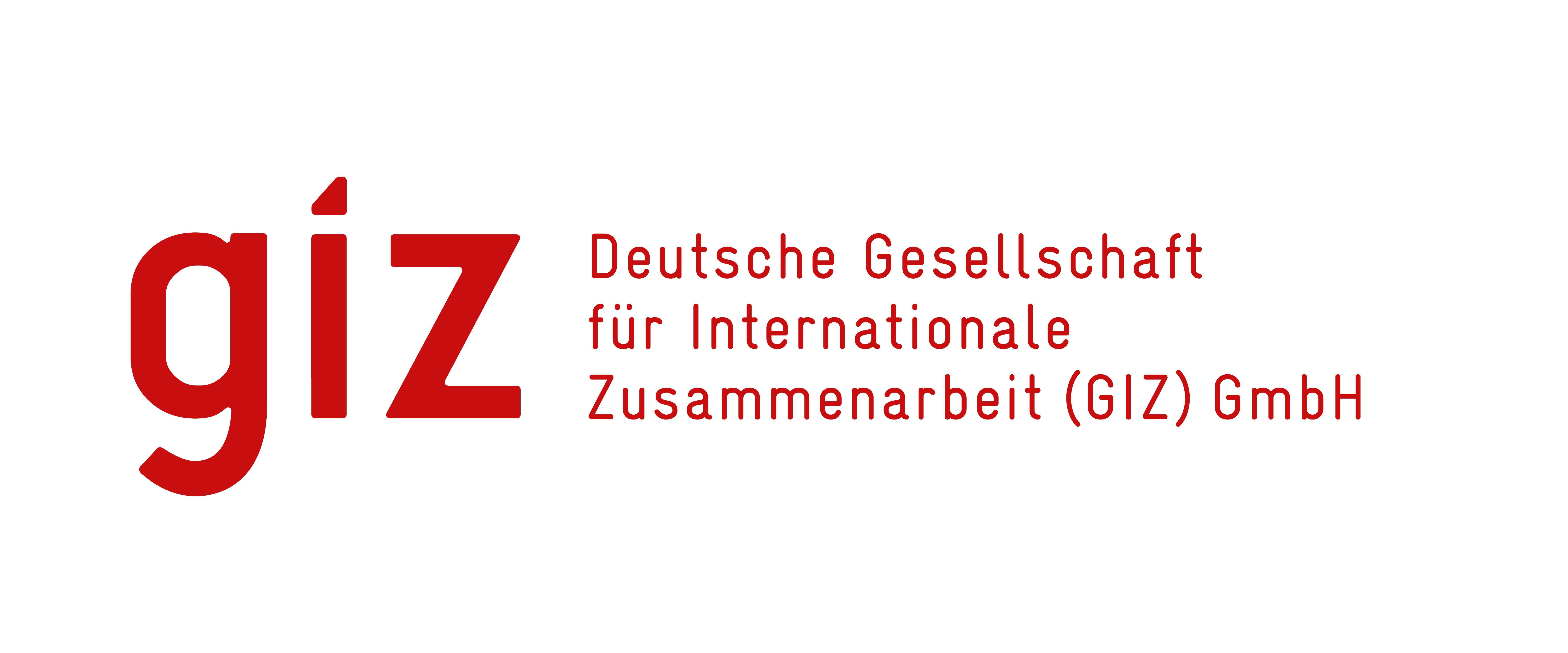 GIZ Logo